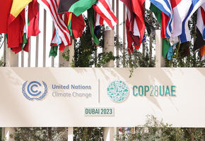 COP28 UAE