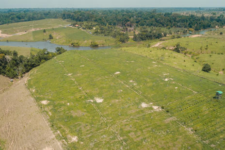 Aerial photograph of farm land in Peru that adopts a silvopastoral system. Fields are marked out in a grid format