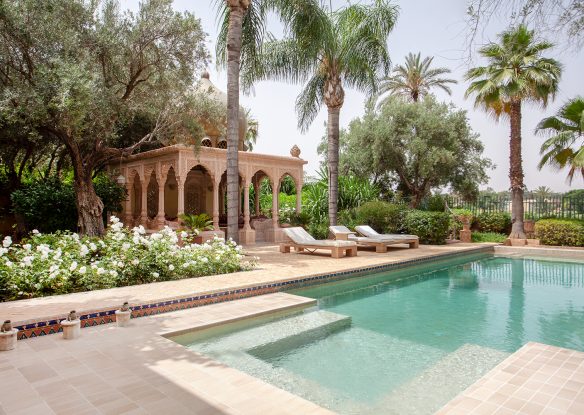 Large multi level pool with beautiful garden backdrop