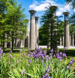 Flowers at historic park