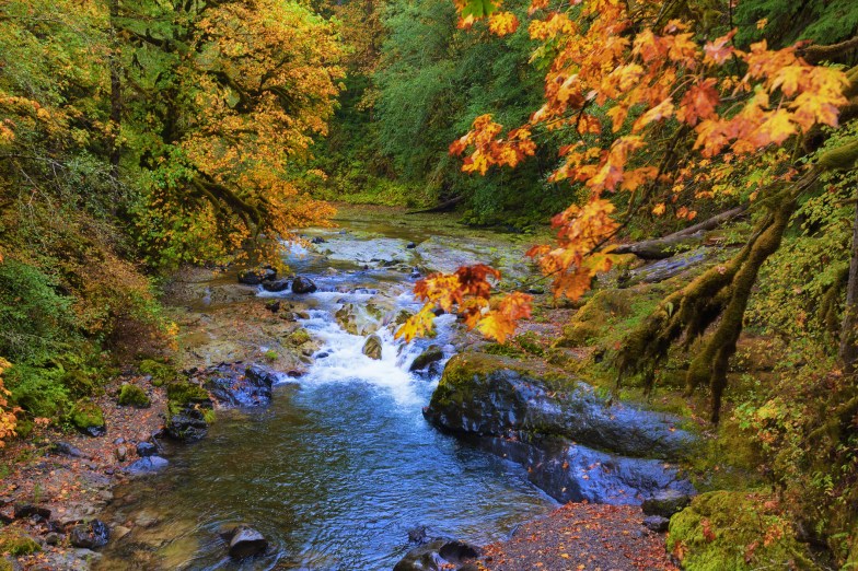 McKenzie Pass-Santiam Pass Scenic Byway