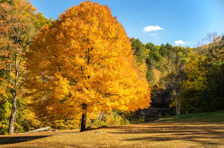 Kent Falls State Park in Kent, Connecticut 