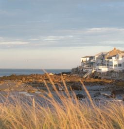 beach lined with homes and seagrass