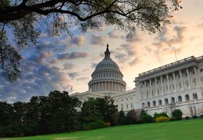 Washington DC Capitol building with greenery in front