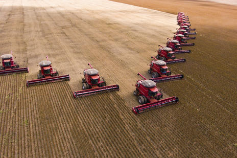 harvesting Mato Grosso Brazil