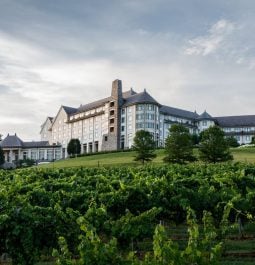 hilltop inn hotel surrounded by green foliage