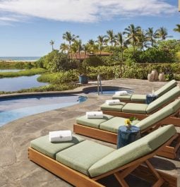 Comfy sun loungers in front of pool and ocean