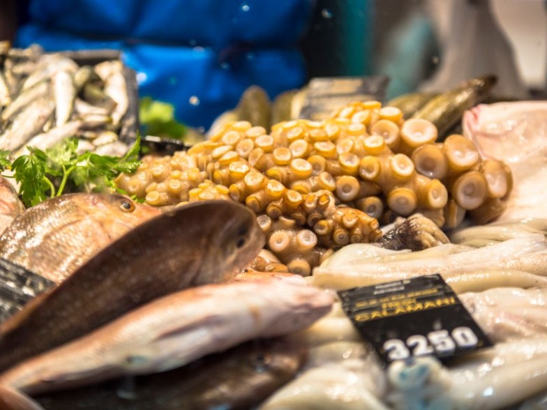 Fish and octopus sold in Queen Victoria Market