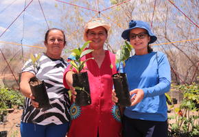 Pernambuco_Mulheres do Pajeú