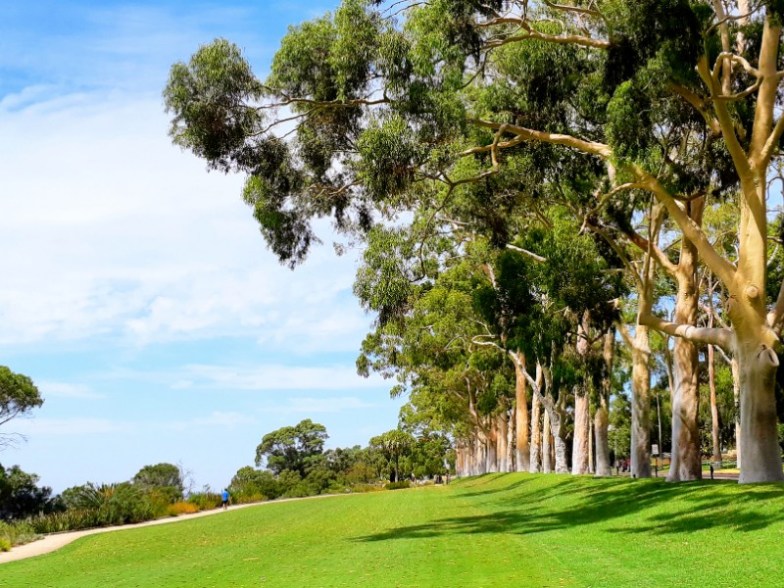 Kings park and botanic garden in Perth