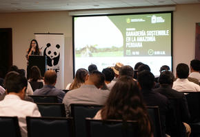 Presenter speaking in front of a seated group of people. Large screen in front of audience. 