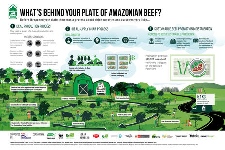 Amazonian beef