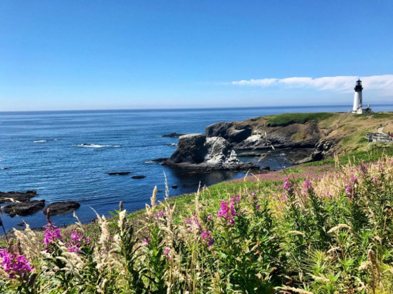 Yaquina Head