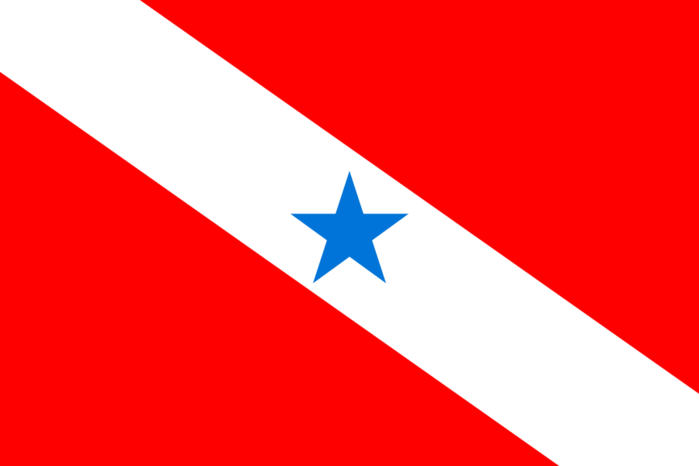 flag para