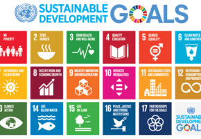 SDGs